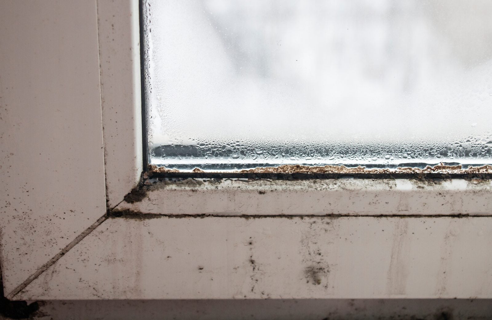 Black mold along the frame of a white window